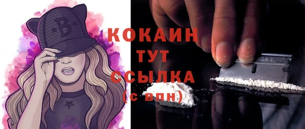 бошки Мегион