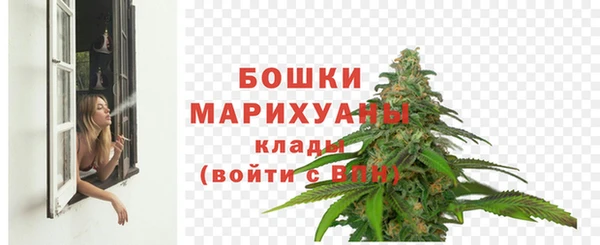 бошки Мегион