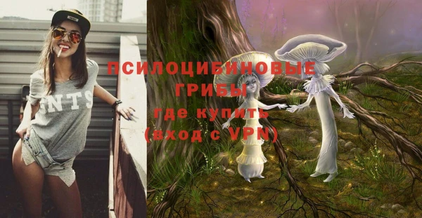 эйфоретик Медвежьегорск