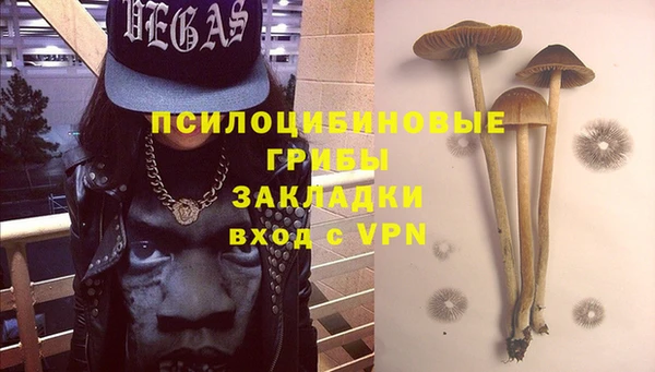 эйфоретик Медвежьегорск