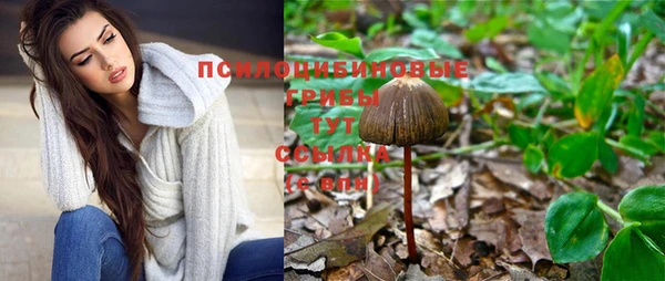 экстази Медногорск
